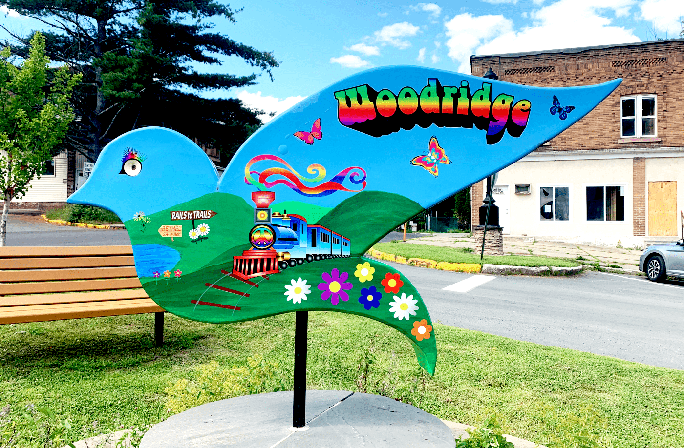 42. Village of Woodridge